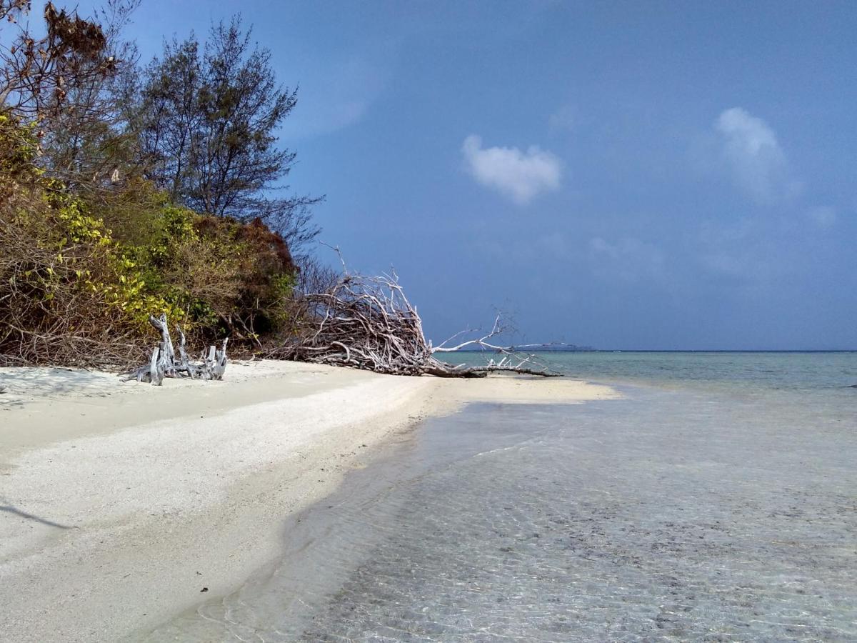 Asari Timo Cottage Ilhas Karimunjava Exterior foto